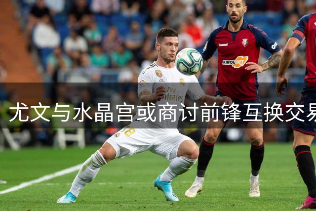 尤文与水晶宫或商讨前锋互换交易