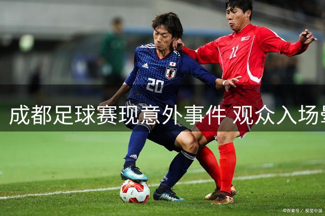 成都足球赛现意外事件 观众入场晕厥经抢救无效身亡