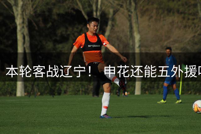 本轮客战辽宁！ 申花还能五外援吗 8月15日主场 包厢外援能清空吗